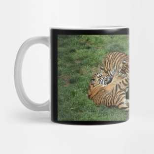 Tiger Cubs Mug